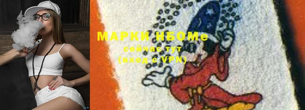 гашик Корсаков