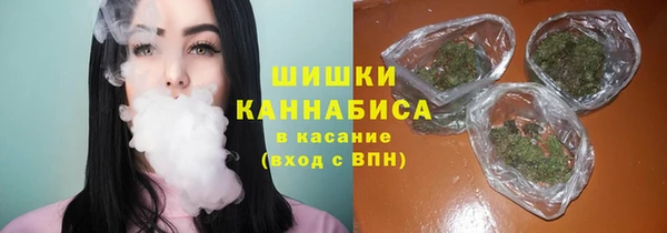 прущий лед Костерёво