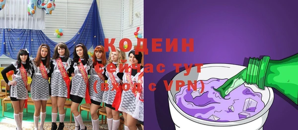 гашик Корсаков