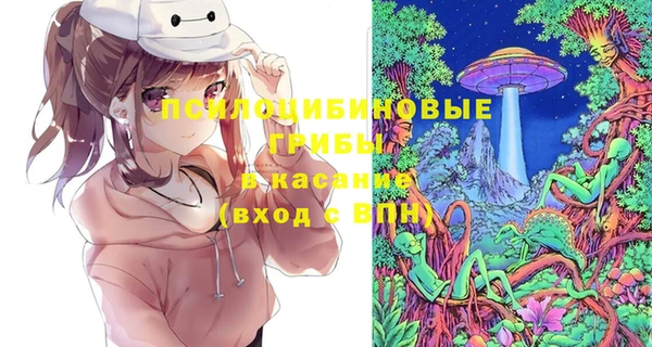 гашик Корсаков